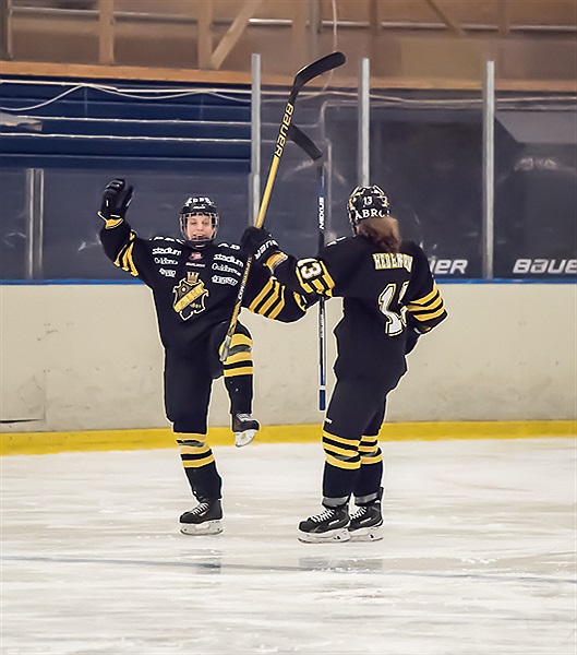 aik hockey dam aik hockey dam