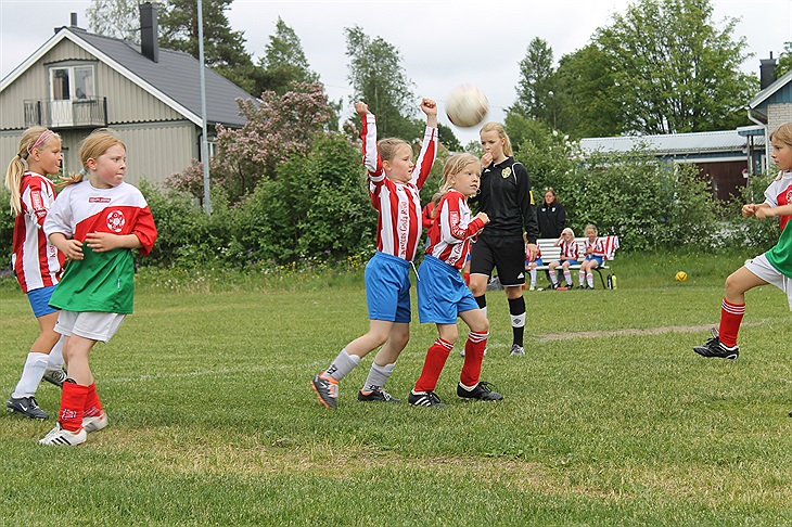 Modo ff f04 Modo ff f04